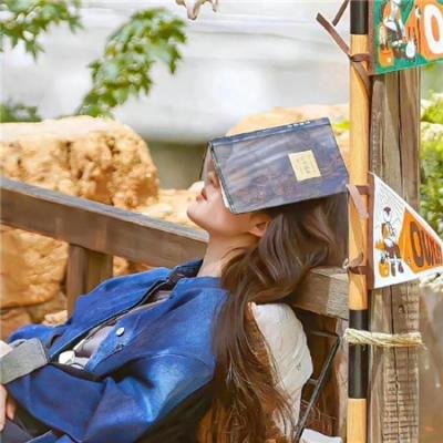 我和重八争天下